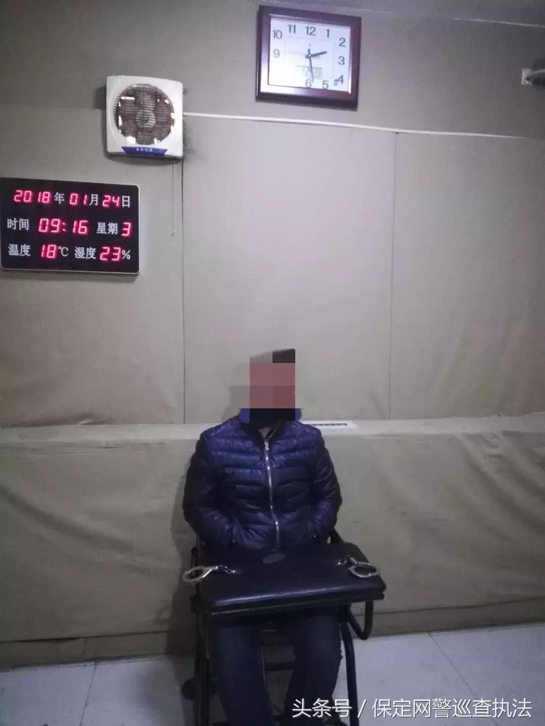 信息辨别,在权威平台数据中寻找真相 信息辨别,在权威平台数据中寻找真相
